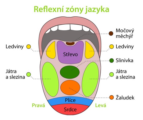Vyšetření jazyka